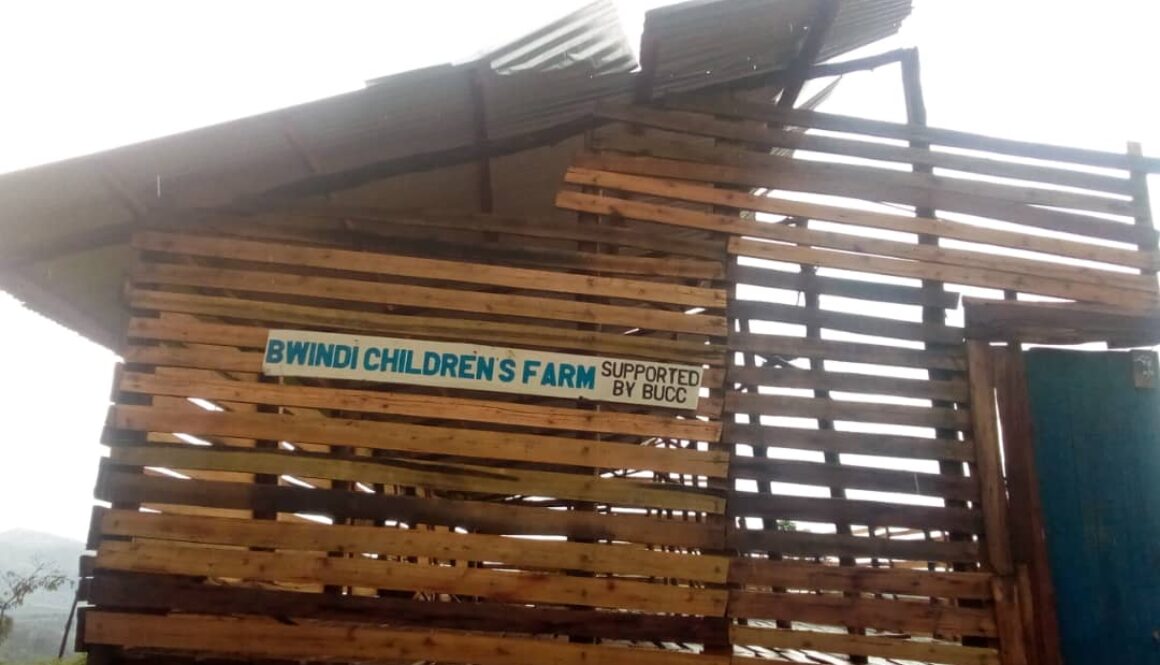 bwindi childrens farm