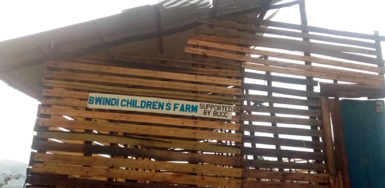 bwindi childrens farm