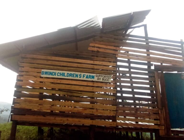 bwindi childrens farm