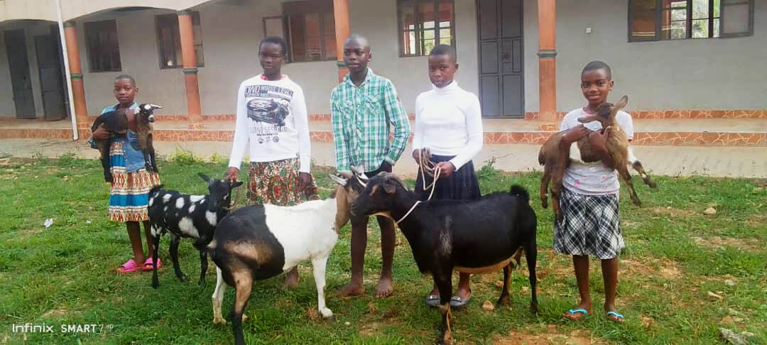 goat day