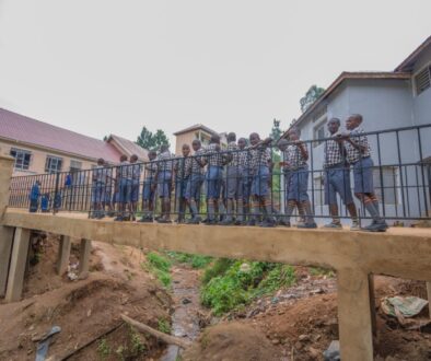 crossover-bridge-BwindiPics_131